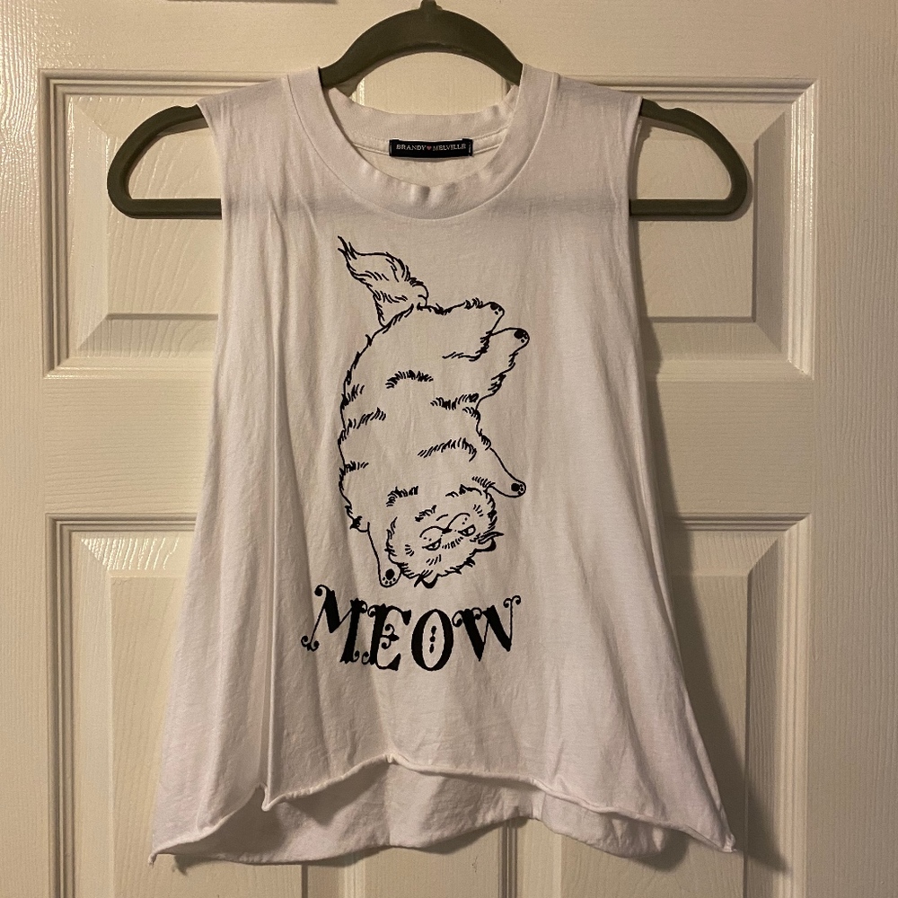 Brandy Melville Cat Shirt (size small)